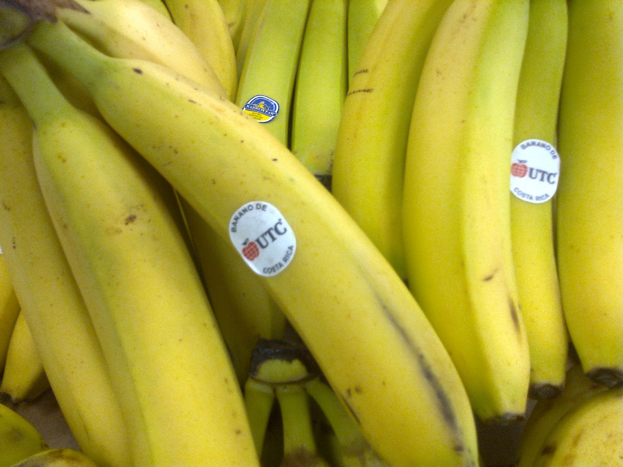 reflüye iyi gelen yiyecekler